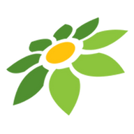 JOY MOD APK